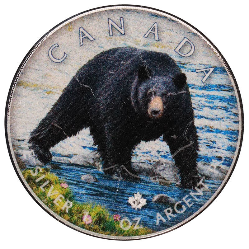 Серебряная монета Канады Гризли 2021 г.в., 31,1 г (с цветом) чистого серебра (проба 9999)